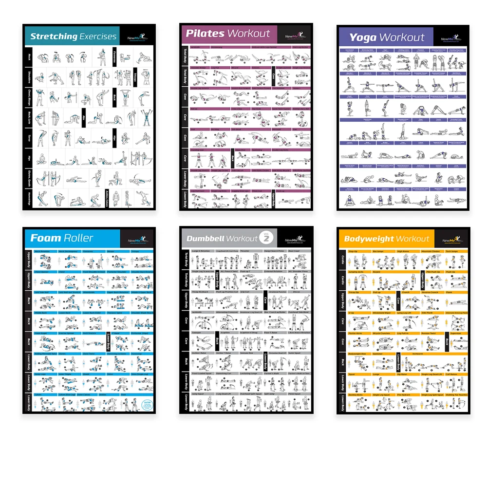 Body Exercise Training Chart W - Sports Equipment Poster 评论和价格