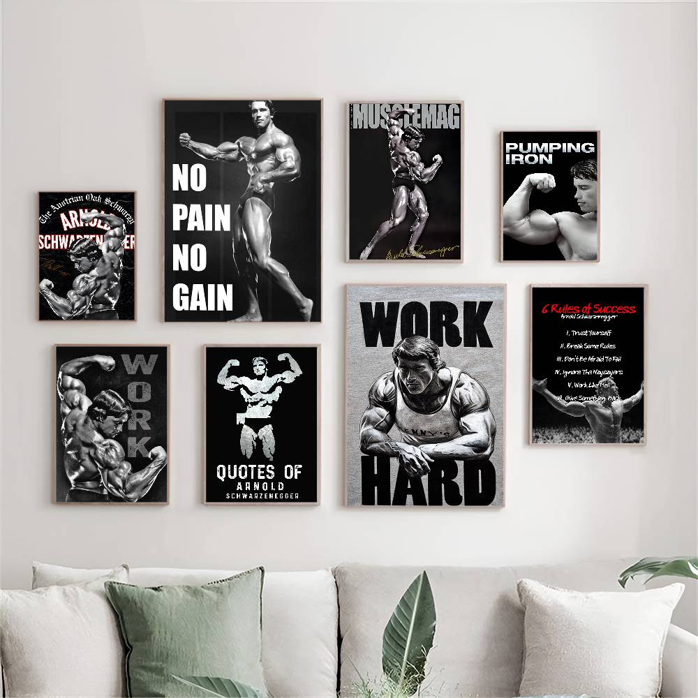 Arnold Schwarzenegger Bodybuil - Sports Equipment Poster 评论和价格